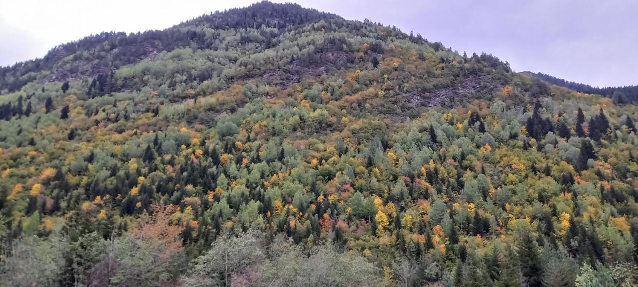 Отель Mountain Star In Местия Экстерьер фото