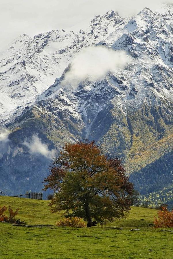 Отель Mountain Star In Местия Экстерьер фото