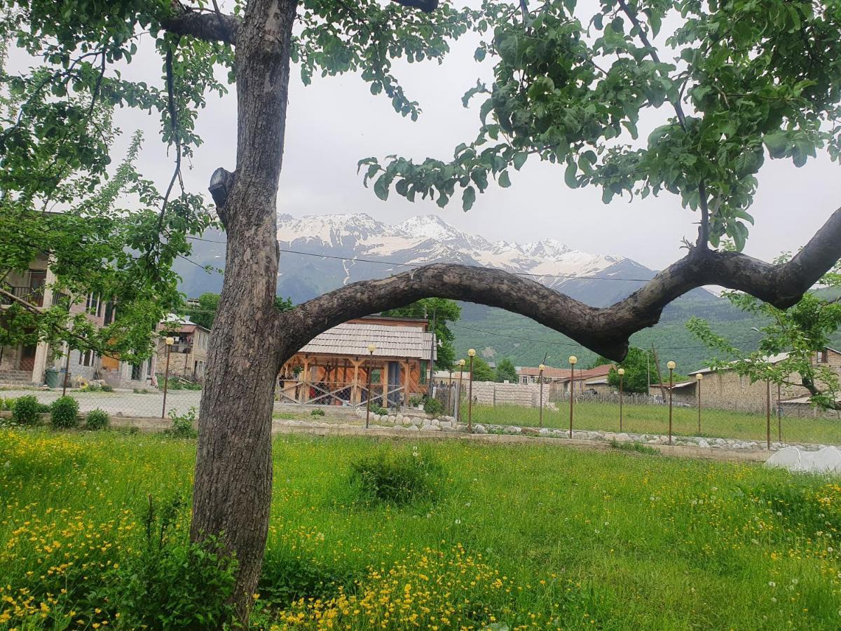 Отель Mountain Star In Местия Экстерьер фото